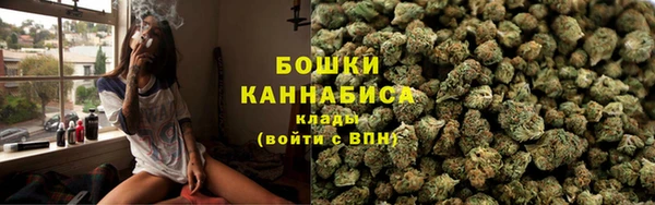 ГАЛЛЮЦИНОГЕННЫЕ ГРИБЫ Абаза
