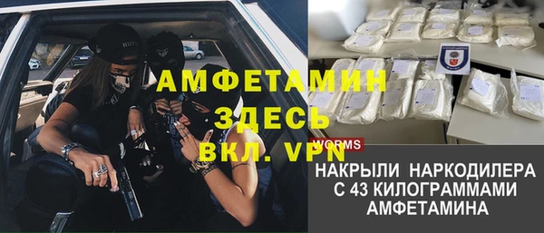ГАЛЛЮЦИНОГЕННЫЕ ГРИБЫ Абаза